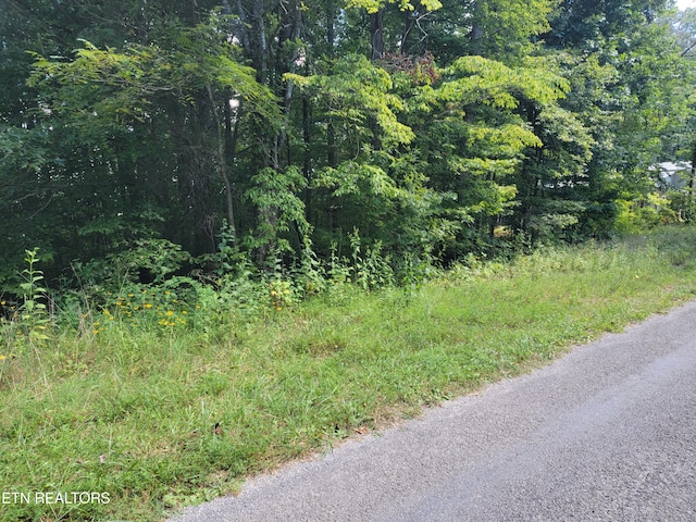 LOT15 Riverview Rd, Maynardville TN, 37807 land for sale