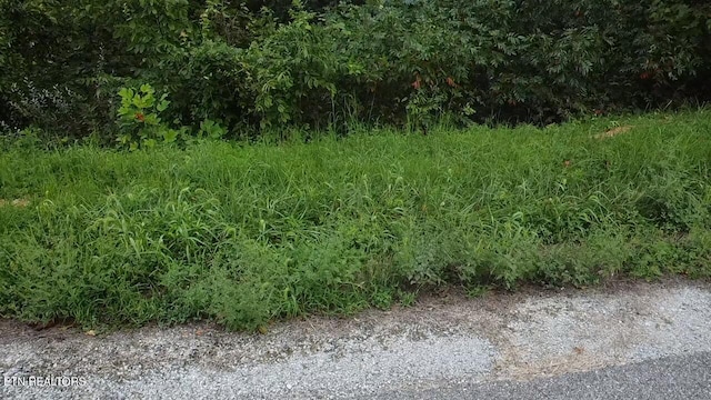 229 Suncrest Cv, Lafollette TN, 37766 land for sale