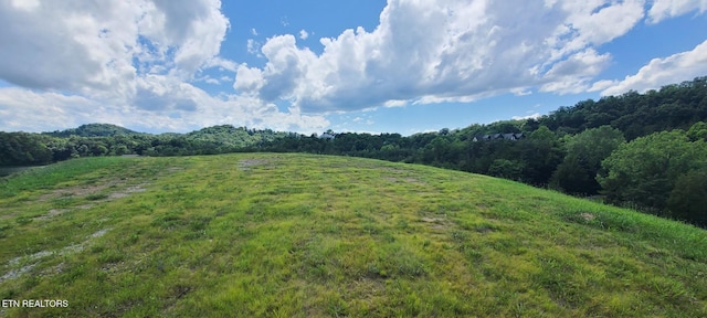 Very Old Barton Trl, Dandridge, TN 37725 - photo 13