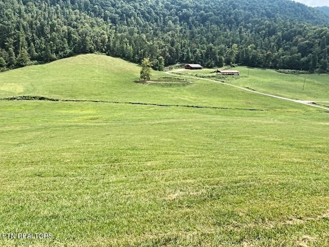 Lone Rd, Pioneer, TN 37847