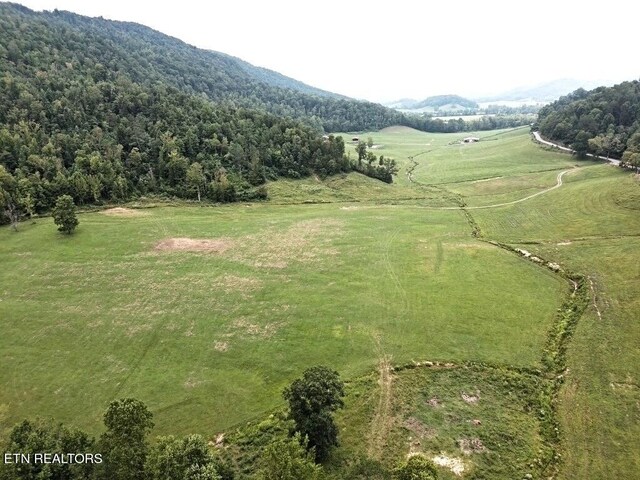 Lone Rd, Pioneer, TN 37847