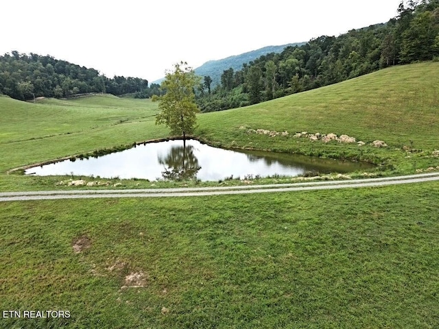 Lone Rd, Pioneer, TN 37847