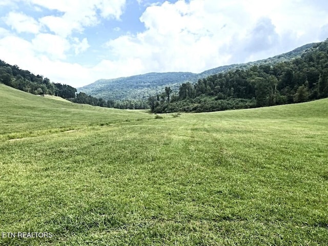 Lone Rd, Pioneer, TN 37847