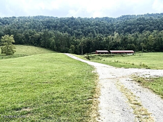 Lone Rd, Pioneer, TN 37847