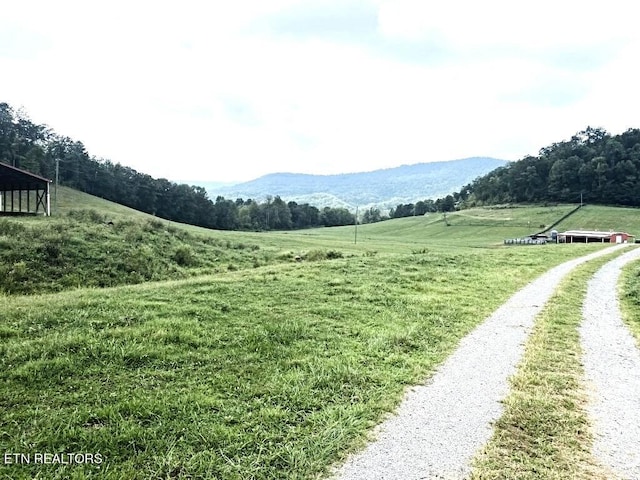 Lone Rd, Pioneer, TN 37847