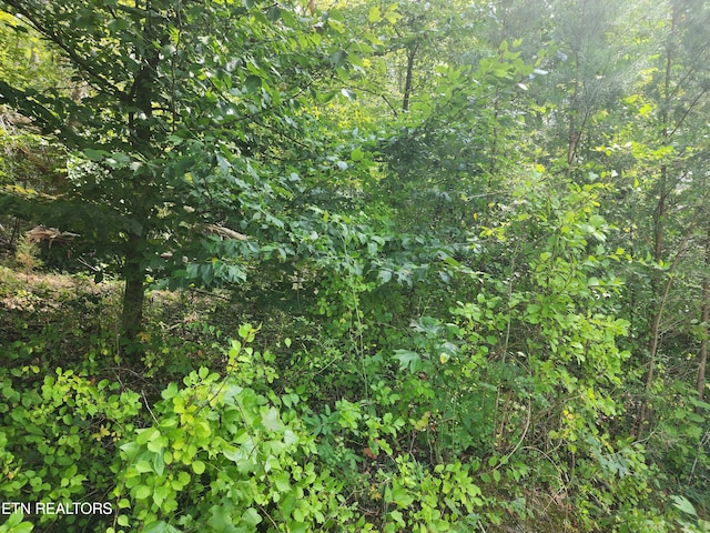 Listing photo 3 for 25.2ACRES Spring City Hwy, Rockwood TN 37854