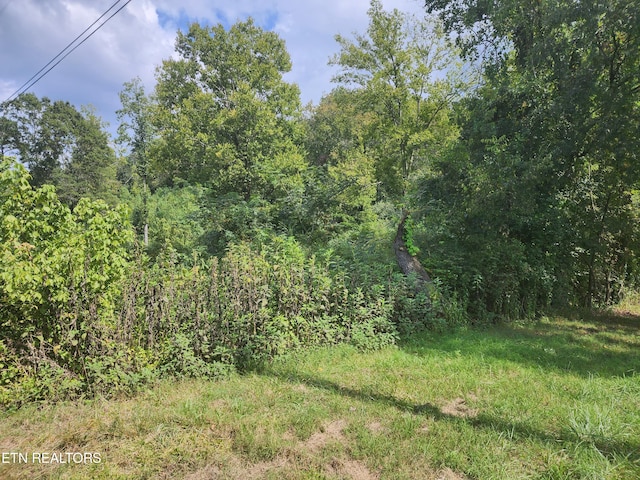 Listing photo 2 for 25.2ACRES Spring City Hwy, Rockwood TN 37854