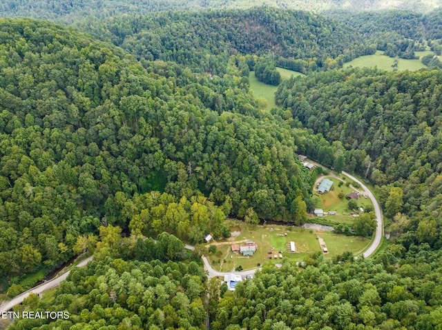 view of bird's eye view