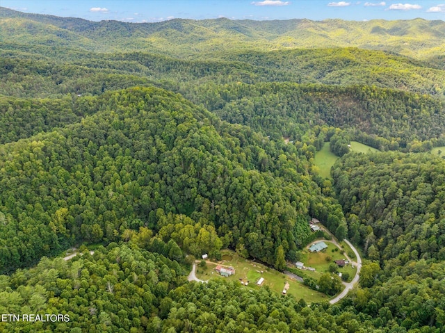 view of bird's eye view