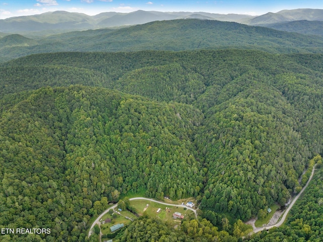 view of mountain view