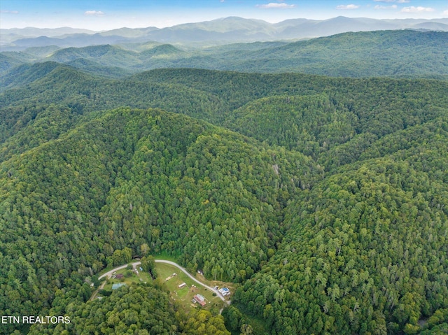 birds eye view of property featuring a mountain view