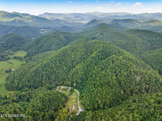 view of mountain view