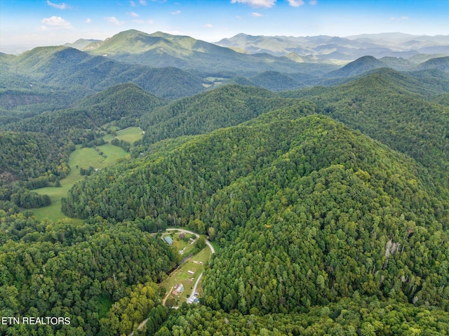 view of mountain view