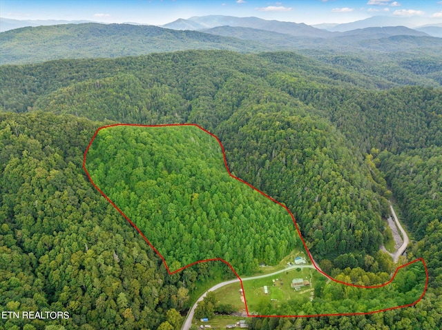 bird's eye view featuring a mountain view