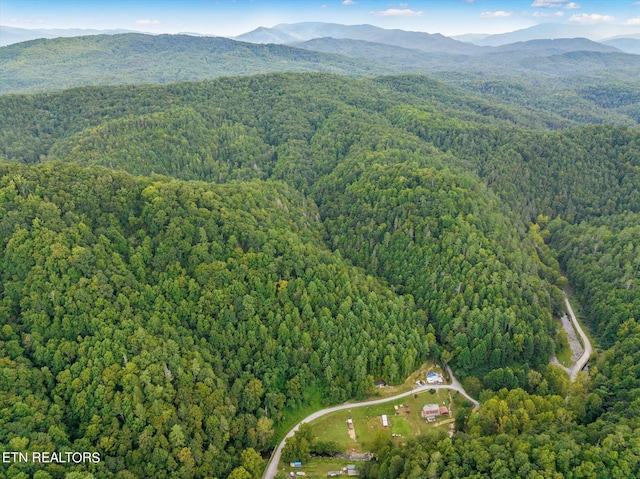 birds eye view of property featuring a mountain view