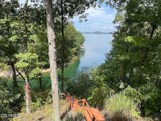 107 Dream Way, Sevierville, TN 37876 - view of water view