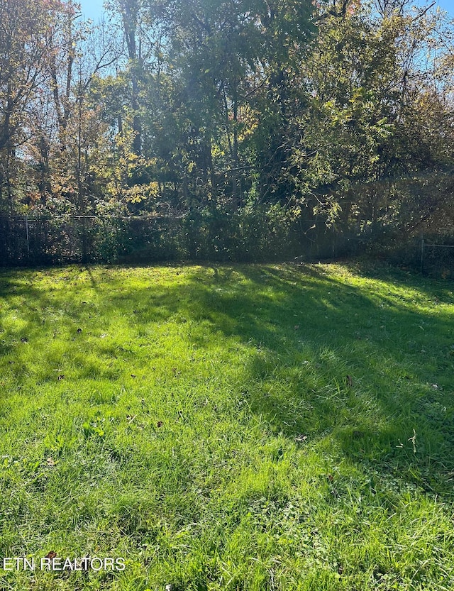 252 Chasteen Dr, Middlesboro, KY 40965 - view of yard