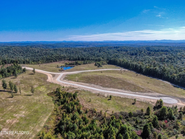 LOT19 Old Mt Helen Rd, Allardt TN, 38504 land for sale