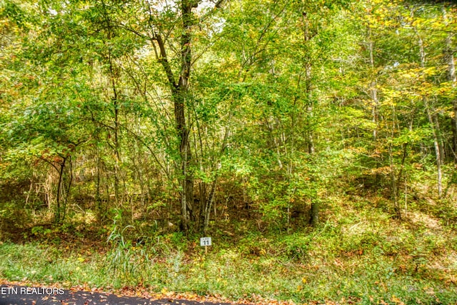 Old Mount Helen Rd, Allardt TN, 38504 land for sale