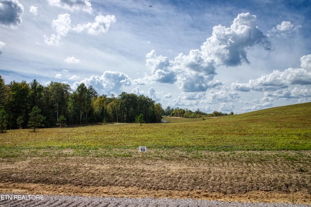 Old Mount Helen Rd, Allardt TN, 38504 land for sale