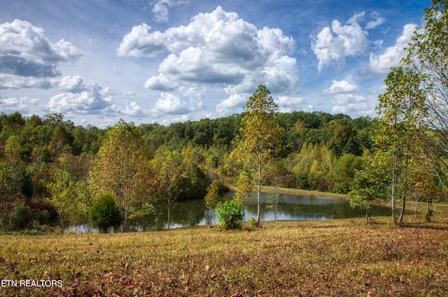 Listing photo 2 for LOT23 Old Mount Helen Rd, Allardt TN 38504