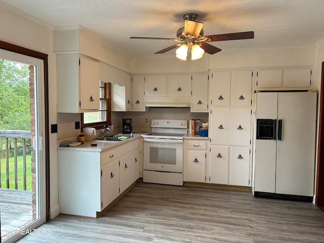 kitchen with plenty of natural light, ceiling fan, white appliances, and light wood-type flooring