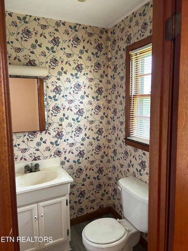 bathroom featuring toilet and vanity