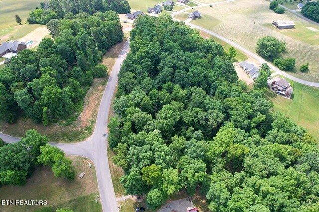 1955 Turner Landing Rd, Russellville, TN 37860 - photo 15