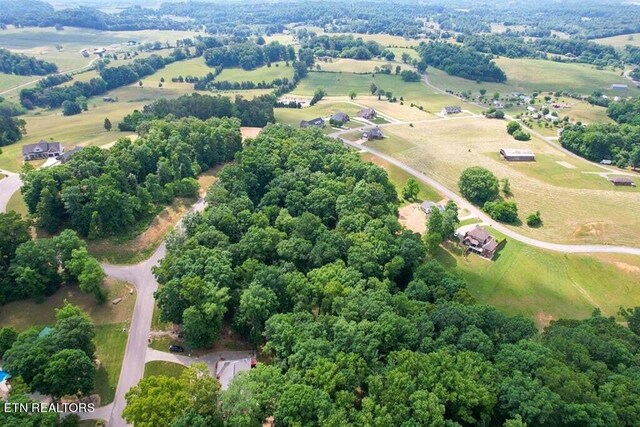 1955 Turner Landing Rd, Russellville, TN 37860 - photo 18