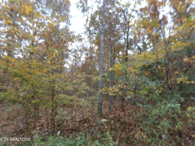 1017 Hileah Dr, Crossville TN, 38572 land for sale