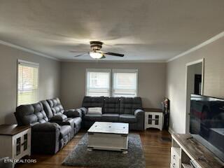 living room with ceiling fan, crown molding, and dark wood-type flooring