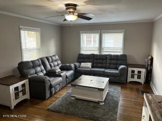 living room featuring dark hardwood / wood-style flooring, ceiling fan, and crown molding