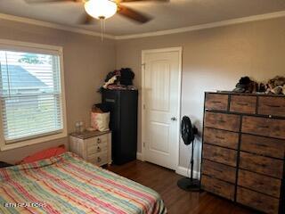 bedroom featuring dark hardwood / wood-style floors, ceiling fan, and crown molding