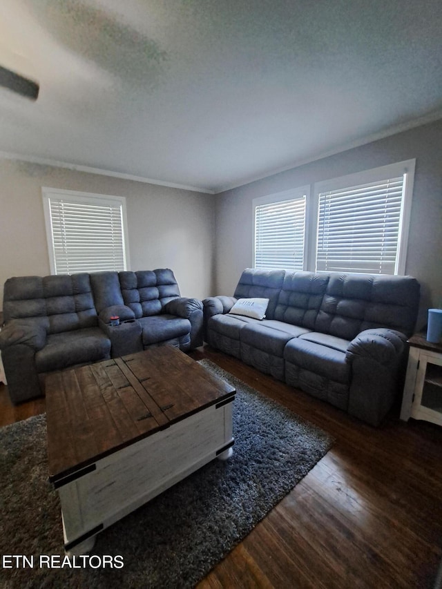 living room featuring crown molding and dark wood-type flooring