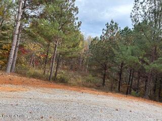 360 Cody Ln, Madisonville TN, 37354 land for sale