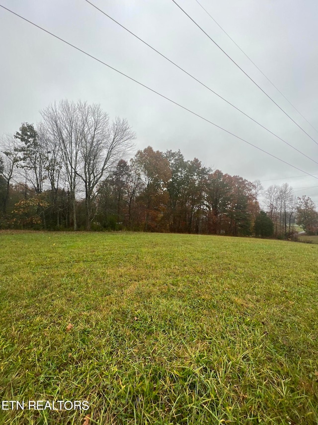 Listing photo 3 for 0 Eli Ln, Oneida TN 37841