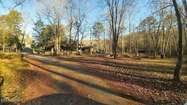 1013 Oliver Springs Hwy, Clinton, TN 37716 - photo 56