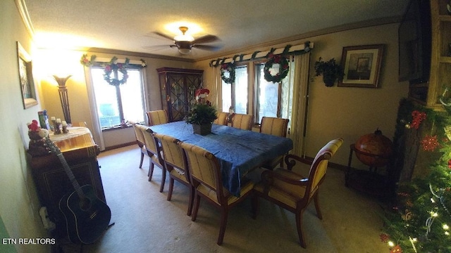 1013 Oliver Springs Hwy, Clinton, TN 37716 - photo 9