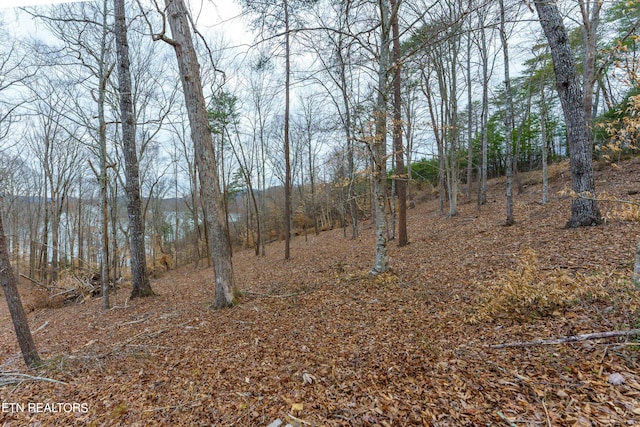 Islandview Cir, Sharps Chapel TN, 37866 land for sale