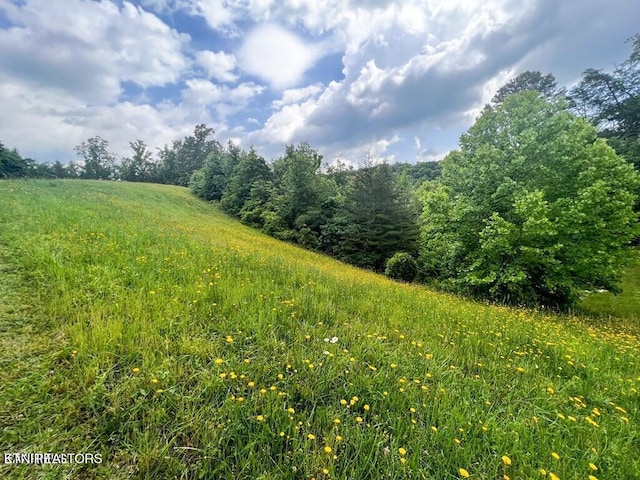 6213 Outlook Trl, Russellville, TN 37860