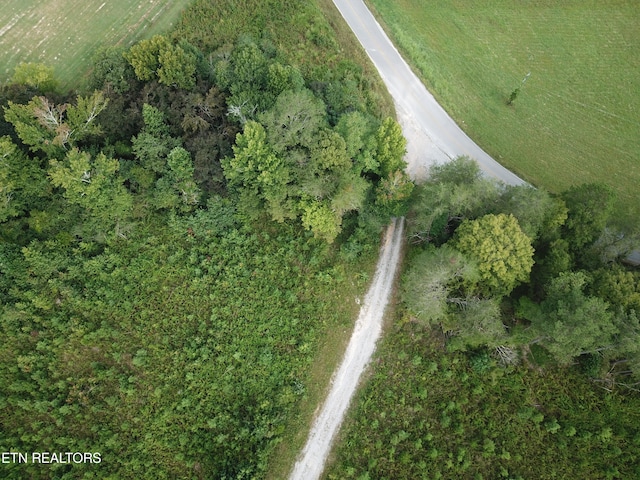 1650 Aslinger Rd, Dayton, TN 37321 - photo 5