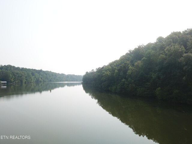 1650 Aslinger Rd, Dayton, TN 37321 - photo 6