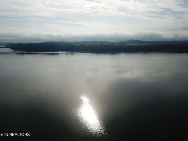1650 Aslinger Rd, Dayton, TN 37321 - photo 8