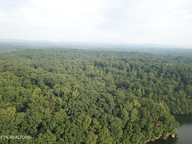 1650 Aslinger Rd, Dayton, TN 37321 - photo 9
