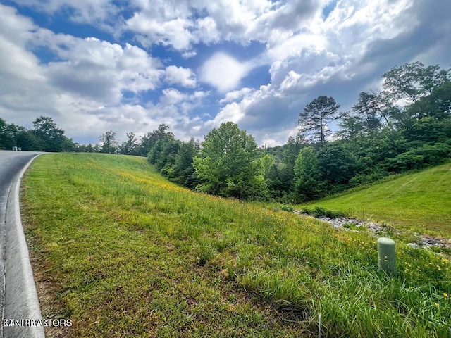 6219 Outlook Trl, Russellville TN, 37860 land for sale