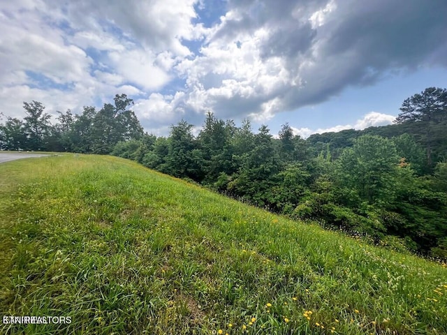 6219 Outlook Trl, Russellville, TN 37860