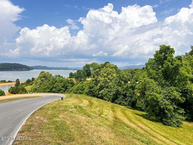 6377 Coves Edge Trl, Russellville TN, 37860 land for sale