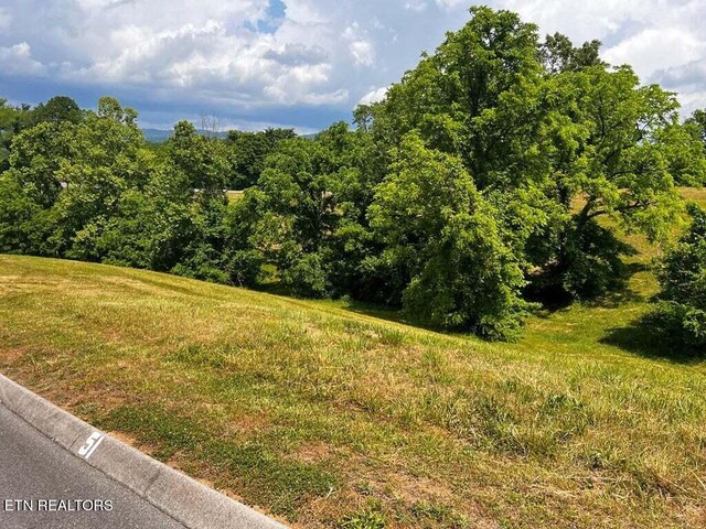 6377 Coves Edge Trl, Russellville, TN 37860