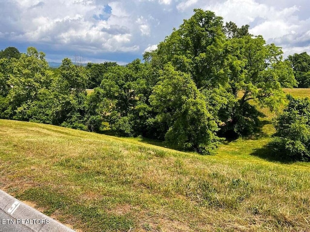6377 Coves Edge Trl, Russellville, TN 37860