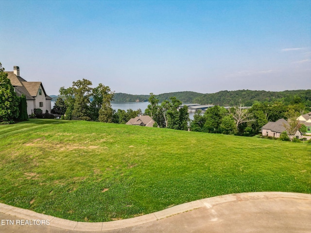 919 Southern Way, Lenoir City, TN 37772 - photo 3